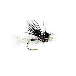 Ec Caddis