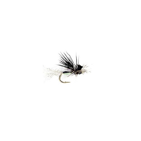 Ec Caddis