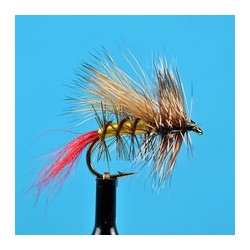 Elk Hair Caddis Grass Hopper