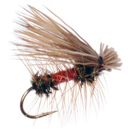Elk Hair Caddis Royal Coachman