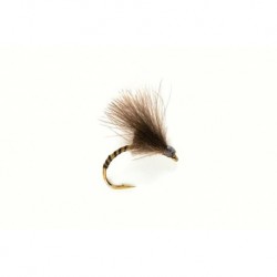 Emerger Black