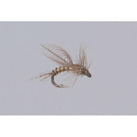 Emerger Bwo