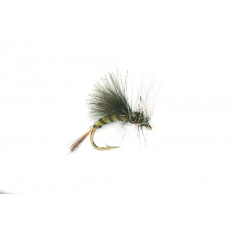 Emerger Olive