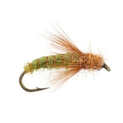 Emerger Sedge Pupa Olive