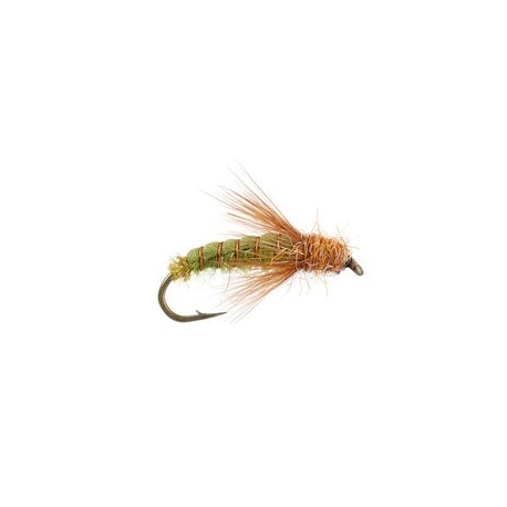 Emerger Sedge Pupa Olive