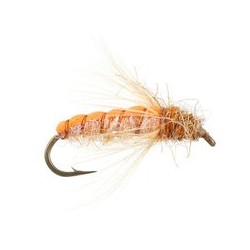 Emerger Sedge Pupa Orange