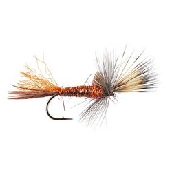 Flash Cripple Mahogany