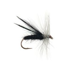 Fluttering Caddes Black