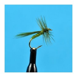 Fluttering Caddis Olive