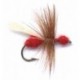 Flying Red Ant
