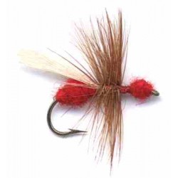 Flying Red Ant