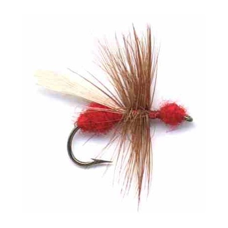 Flying Red Ant