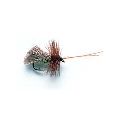 G & H Sedge