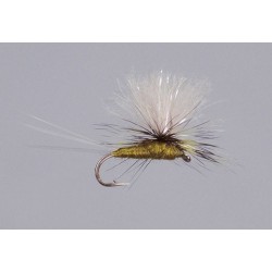 Galloup S Bwo CDC Sparkle Para