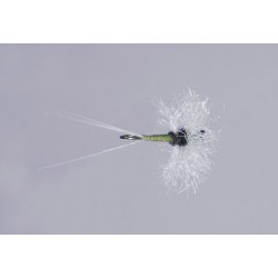 Galloup S Bwo Compara Spinner