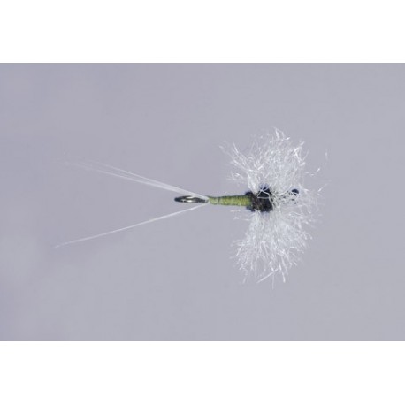 Galloup S Bwo Compara Spinner