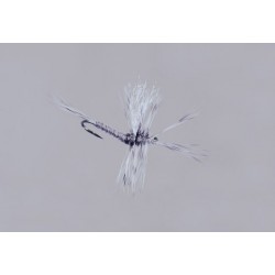 Galloup S Gray Drake Biot Cripple