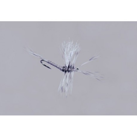 Galloup S Gray Drake Biot Cripple