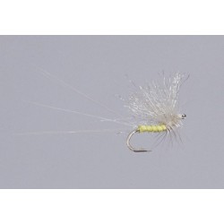 Galloup S Pmd Ride Right