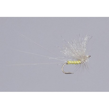 Galloup S Pmd Ride Right