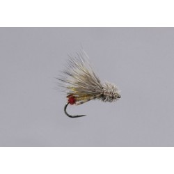 Galloup S Working Sally