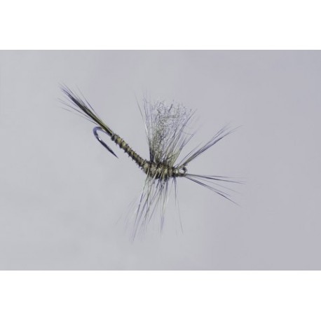 Galloups Green Drake Biot Cripple