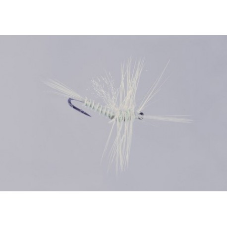 Galloups Pmd Biot Cripple