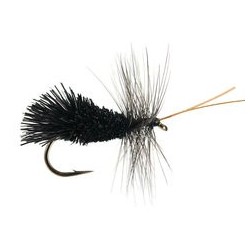 Godards Caddis Black