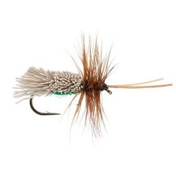 Goddard's White Caddis