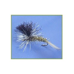 Gold Black Parachute