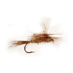 Gold Ribbed Hares Ear Para