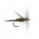 Gray Caddis