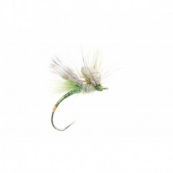 Green Drake Fripple