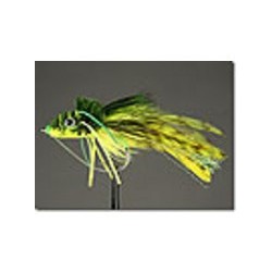 Frog Swimming Yellow Belly