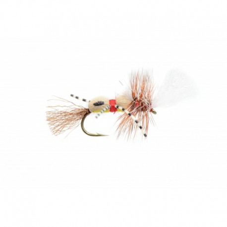 Grumpy Frumpy Yellow & Red