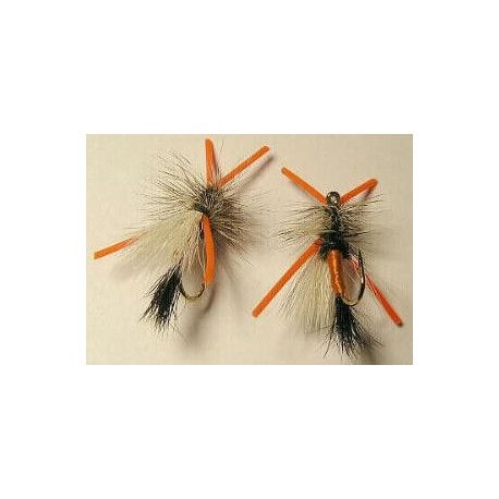 Gunnison River Trude