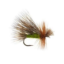 Hairwing Caddis