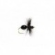 Hard Body Ant Black