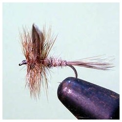Hares Ear F Fly