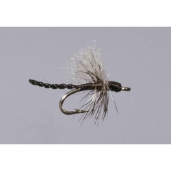 Haslam S Midge Adult