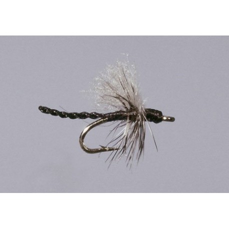 Haslam S Midge Adult