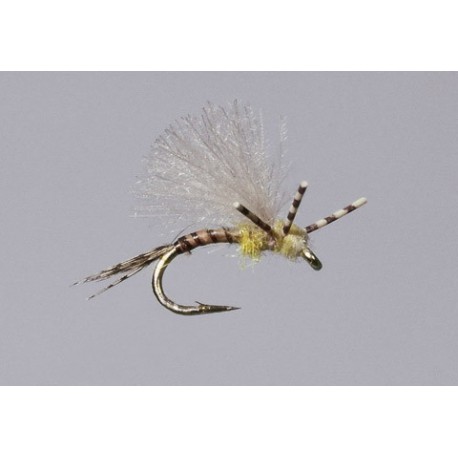 Haslam S Pmd X Emerger