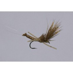 Haslams X Compara Drake