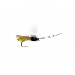 Headlight Caddis Green