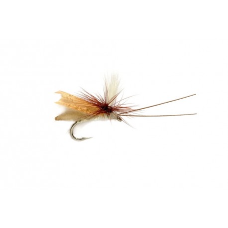 Headlight Caddis Tan