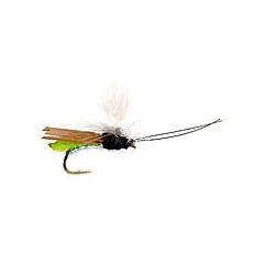 Headlight Caddis