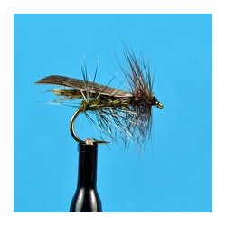 Henryville Caddis