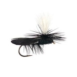 Hi Vis Black Foam Beetle