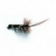 Horned Sedge Brown
