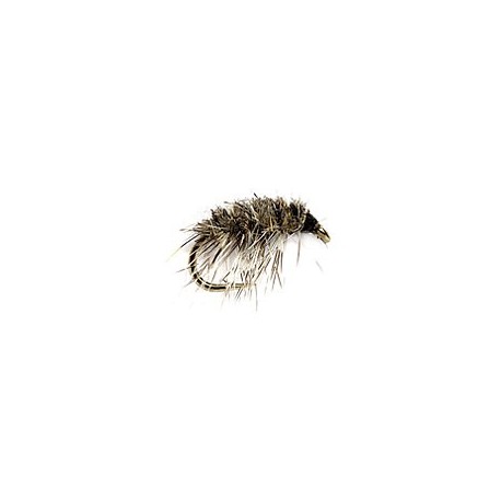 Humphreys Cress Bug